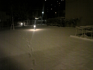 020303.jpg